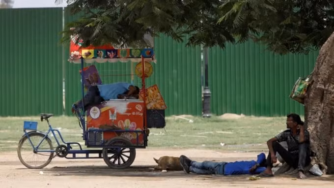 Một người bán hàng nghỉ ngơi trên xe kem của mình trong một ngày hè nóng nực ở New Delhi. Nhiệt độ cao của Ấn Độ tạo ra những thách thức đặc biệt đối với việc bảo quản siêu lạnh vắc xin . Ảnh: Reuters