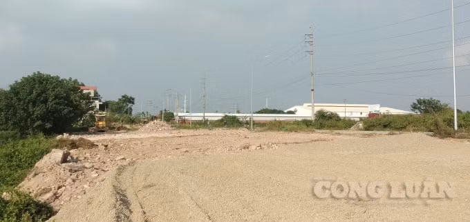 Dự án được tái khởi động rầm rộ với máy móc hiện đại.