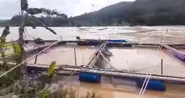 Thủy điện Buôn Kuốp xả lũ khiến hàng chục lồng cá của người dân bị hư hỏng, cá chết hoặc chạy hết ra sông. Ảnh: TPO