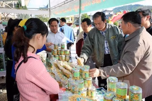 Các du khách đến tìm hiểu và mua trà hoa vàng - Ảnh Nguyễn HoàngTTXVN
