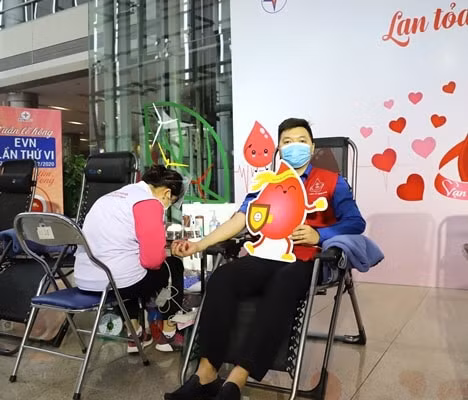 Đoàn Thanh niên luôn là lực lượng xung kích đi đầu và nhiệt tình hưởng ứng các phong trào do EVN và EVNNPC phát động.