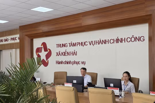 Hải Phòng: Bản án có hiệu lực nhưng chính quyền cho rằng phán quyết của Tòa án “chưa phù hợp”?