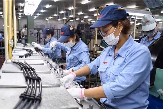 Thu hút FDI không phải để có thêm nhà máy, mà để Việt Nam giàu lên thực sự