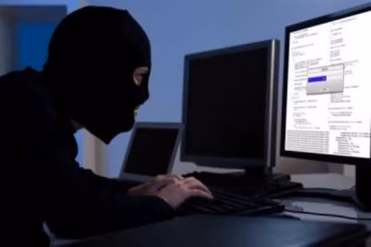Serbia và FBI triệt phá đường dây lừa đảo trực tuyến quốc tế. Ảnh: internet.