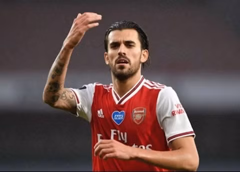 Cầu thủ bóng đá Ceballos đã lên tiếng về tương lai thi đấu ở Arsenal. Ảnh: internet.