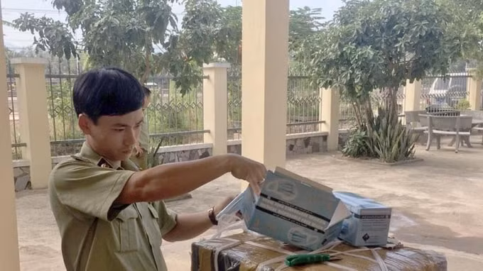 Lực lượng chức năng tạm giữ lô hàng khẩu trang y tế nhập lậu. Ảnh: TL.