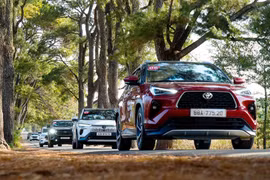 Doanh số xe hybrid tháng 6/2026: Toyota ‘gánh’ phân khúc, Honda ngược chiều giảm sốc