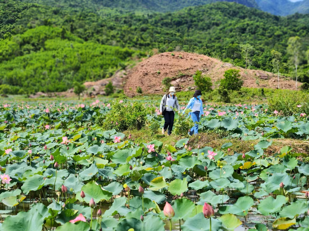 duy xuyen quang nam phat trien du lich xanh hut du khach dip 2 9 hinh 1