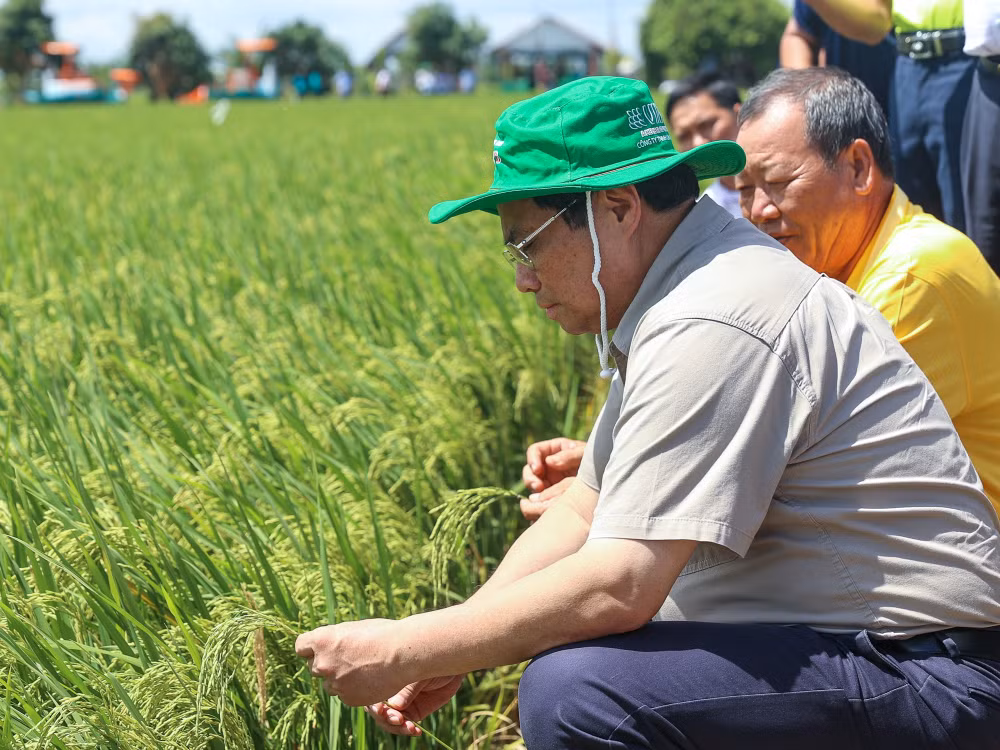 thu tuong pham minh chinh phai tiep tuc doi moi tu duy ve san xuat nong nghiep hinh 8