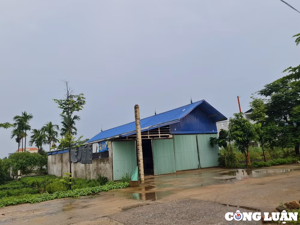 ung hoa ha noi vi pham tran lan tren dat nong nghiep ubnd xa hoa nam chua xu ly dut diem hinh 5