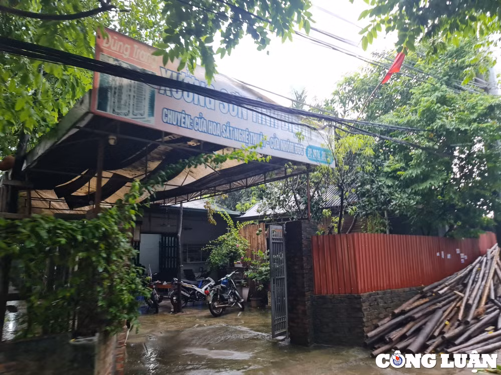 ung hoa ha noi vi pham tran lan tren dat nong nghiep ubnd xa hoa nam chua xu ly dut diem hinh 1