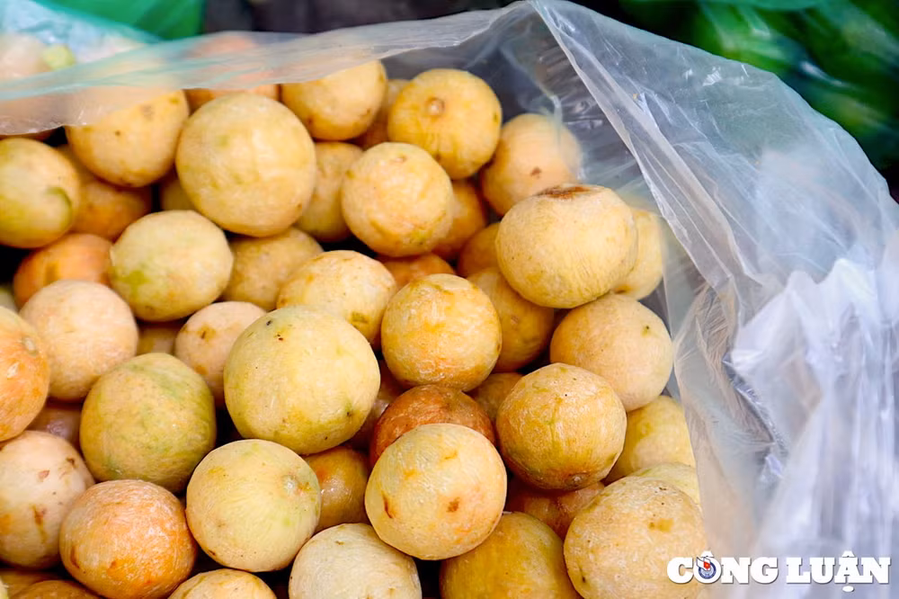 nhung mon qua tuoi tho xuong pho don thu ha noi hinh 4