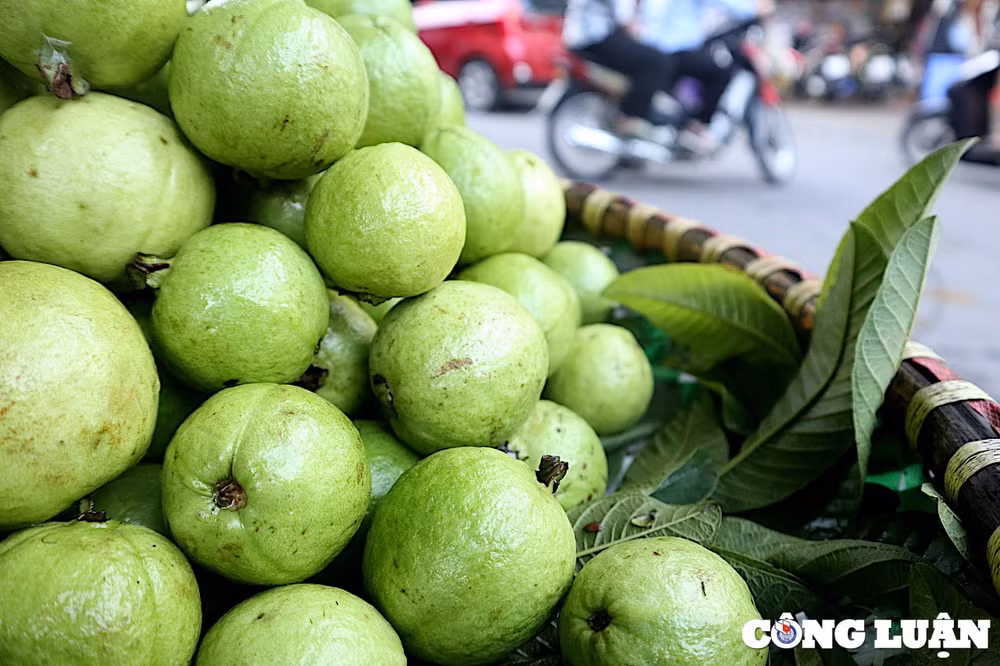 nhung mon qua tuoi tho xuong pho don thu ha noi hinh 5