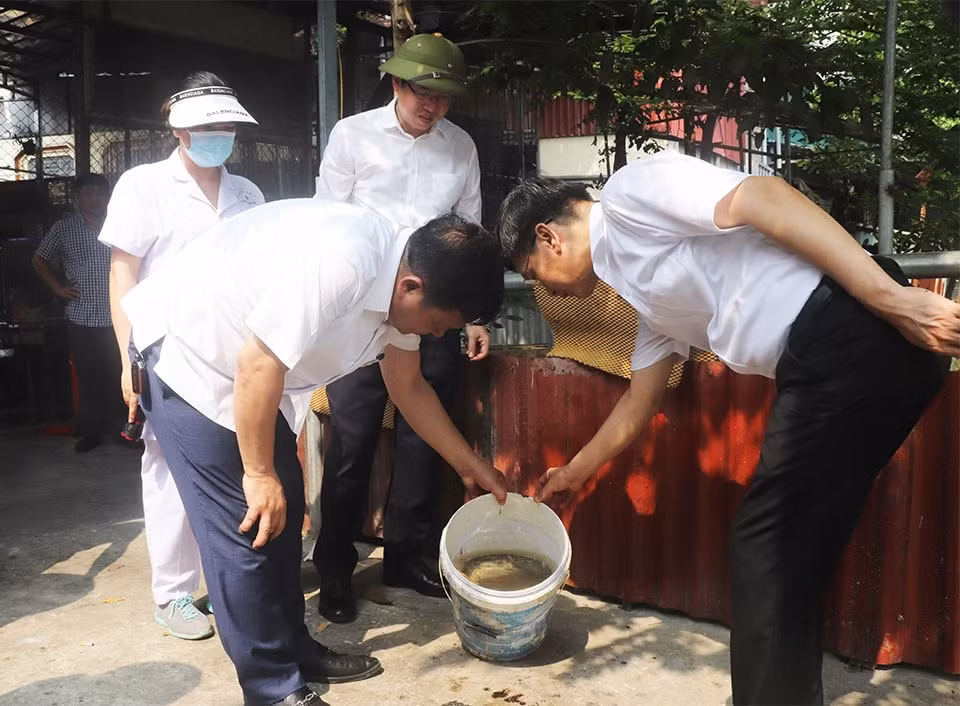ha noi kien quyet xu ly to chuc ca nhan khong tuan thu phong chong sot xuat huyet hinh 1