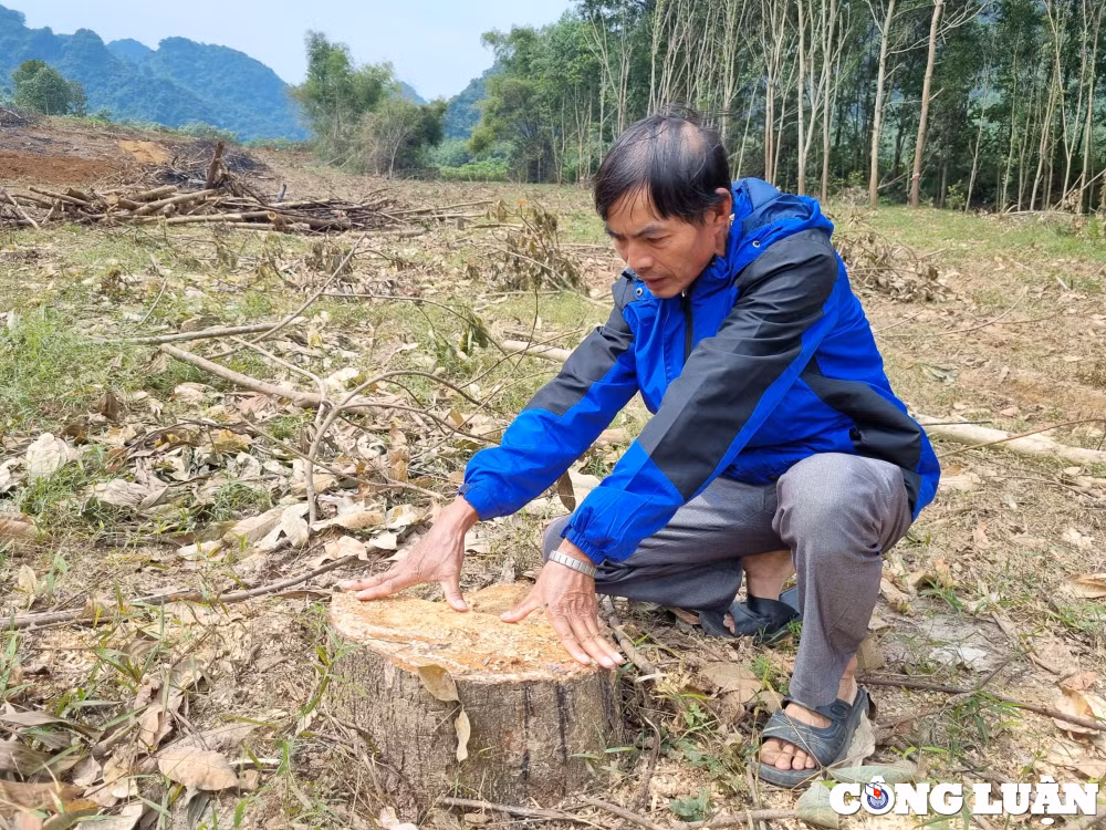 thu hoi dat cua dan voi gia beo de doanh nghiep ban du an co dung quy dinh hinh 2