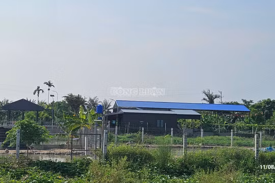 Hải Phòng: Yêu cầu xử lý, báo cáo thành phố trước ngày 30/8 về vi phạm đất đai tại xã Tiên Minh