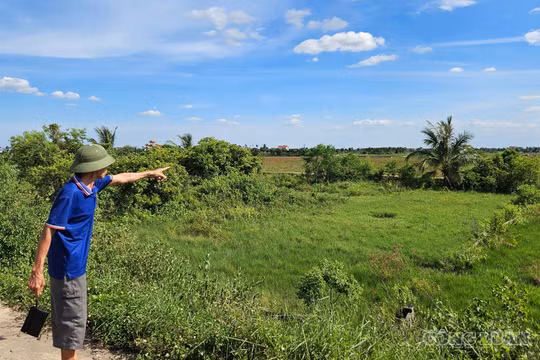 Hải Phòng: Xã Tiên Minh làm rõ phản ánh về bồi thường giải phóng mặt bằng và quản lý đất đai tại thôn Nêu 