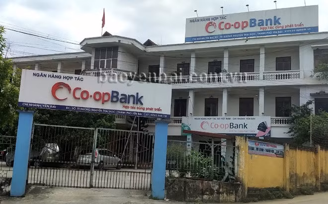 chiem doat tien cua gan 100 khach hang nu can bo ngan hang co opbank bi bat tam giam hinh 1