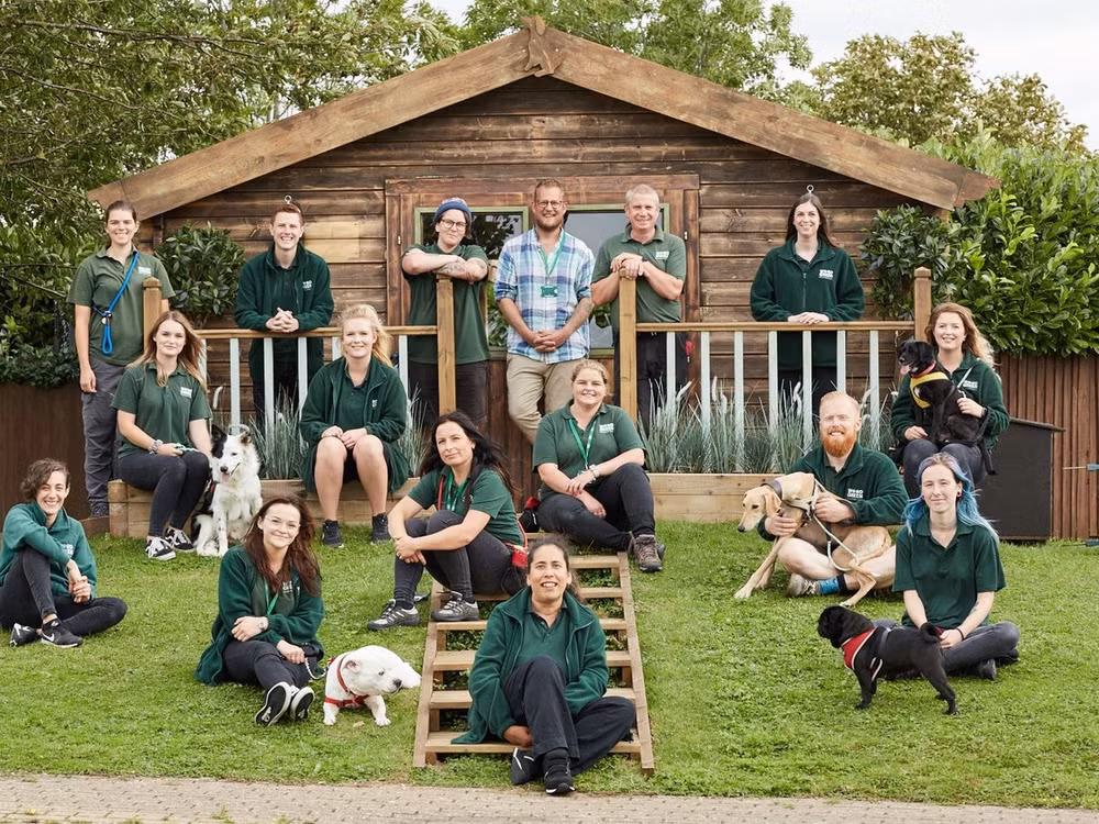 the dog house uk hanh trinh tim chu ly ky cua chu cun bi bo roi hinh 3