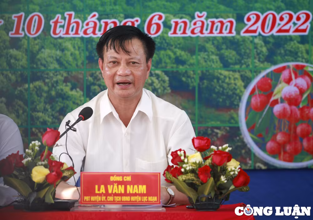 vai thieu luc ngan duoc mua gia cao dau vu hinh 2