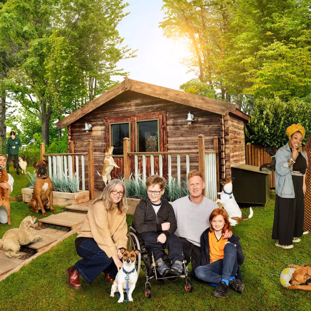 the dog house uk hanh trinh tim chu ly ky cua chu cun bi bo roi hinh 2