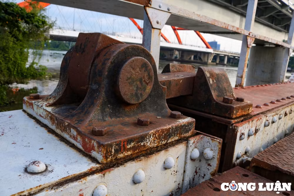toan canh nhip cau binh loi tram tuoi truoc nhung ngay duoc bao ton hinh 9