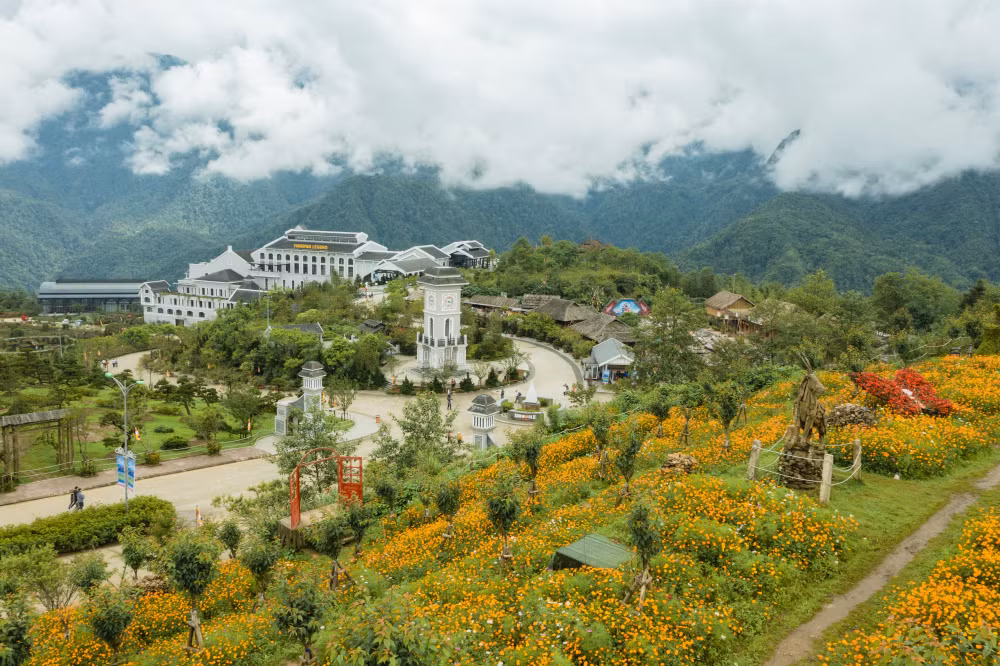 thang 6 den sa pa bay giua mua hoa nhan uu dai toi 45 gia ve cap treo fansipan cho hoc sinh sinh vien hinh 3