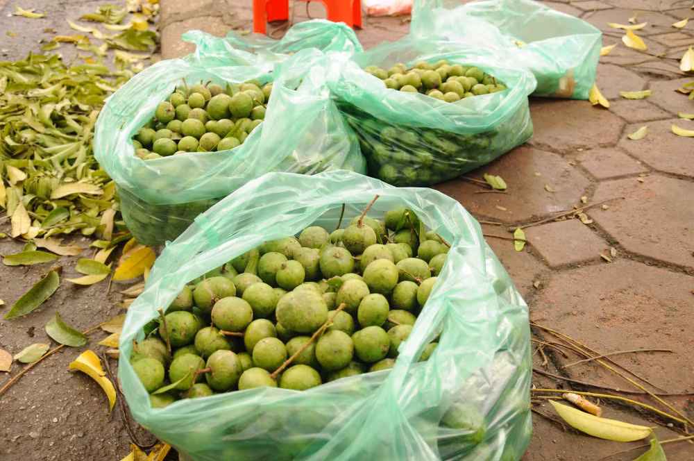 sau non dau mua xuong pho gia re bat ngo hinh 1