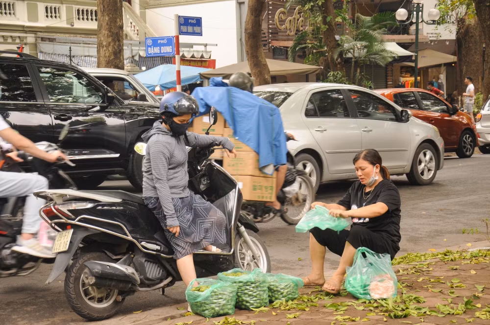 sau non dau mua xuong pho gia re bat ngo hinh 2