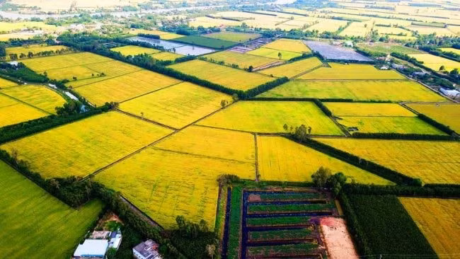 xay dung thanh pho can tho thanh trung tam phat trien vung dbscl hinh 1
