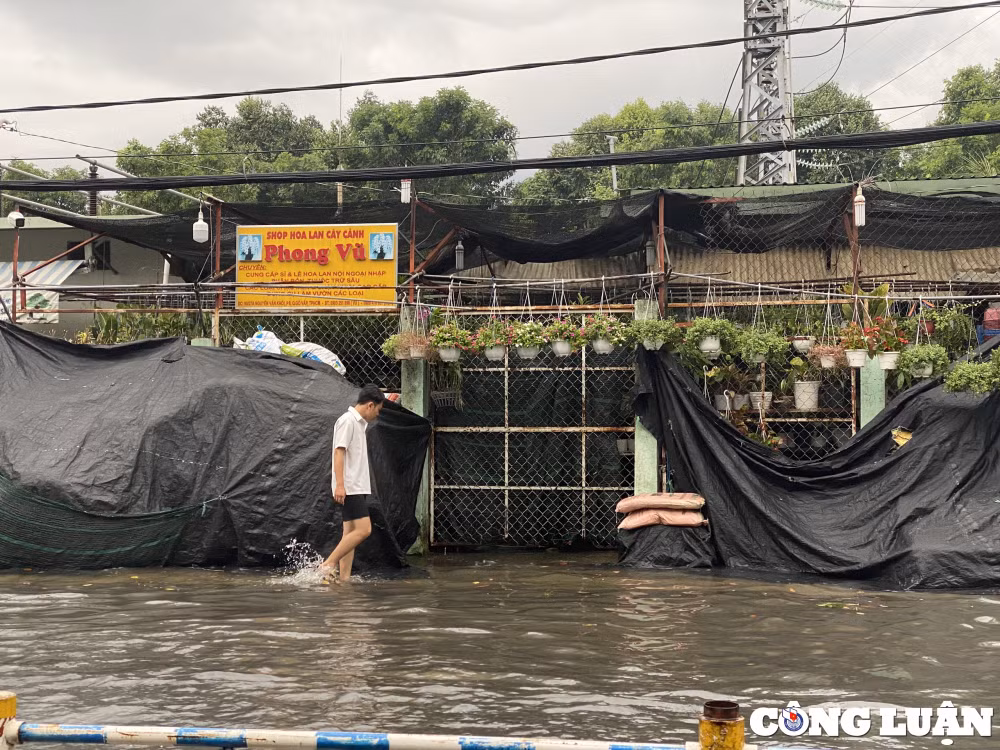 mua keo dai hon 2 gio nhieu tuyen duong o tp hcm bien thanh song hinh 8