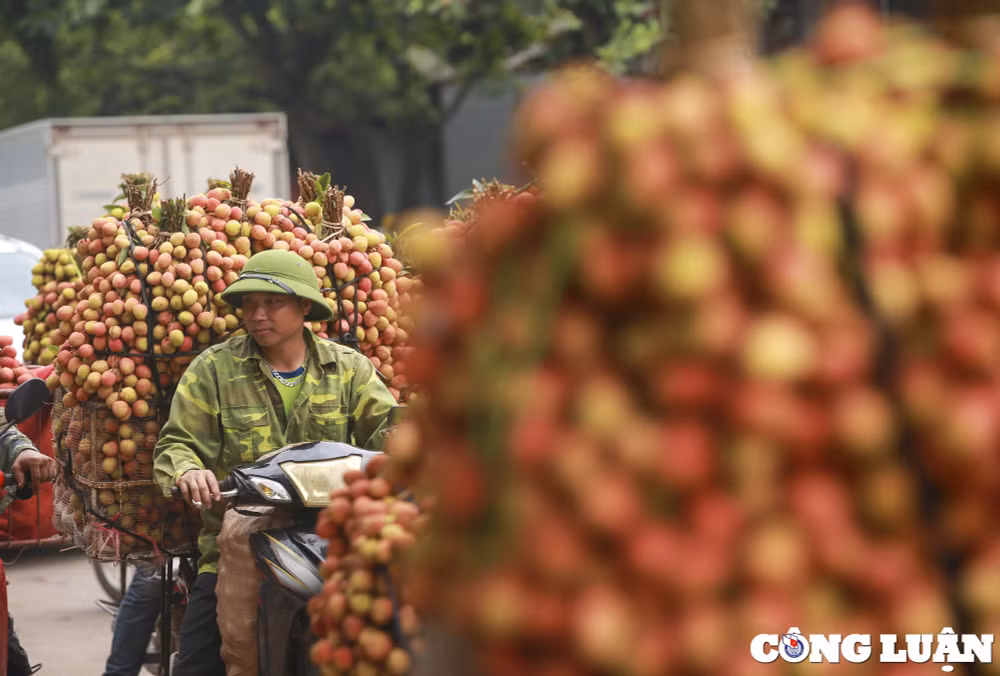 nhon nhip nguoi dan cho vai chin som di ban un tac ca 1 con duong hinh 6