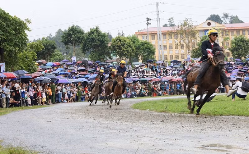 soi dong giai dua ngua truyen thong cao nguyen bac ha hinh 1