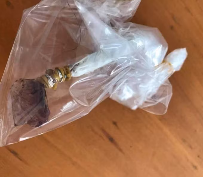 Vật nghi là bả chó khiến bé gái tử vong sau khi ngậm.