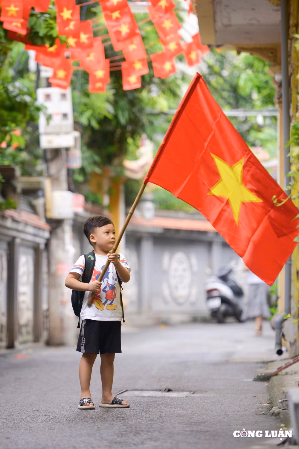 ruc ro co do sao vang truoc cong lang ha noi hinh 11