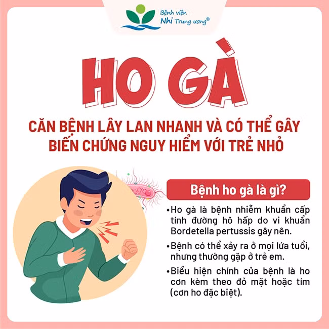 benh ho ga nguy hiem nhu the nao hinh 1