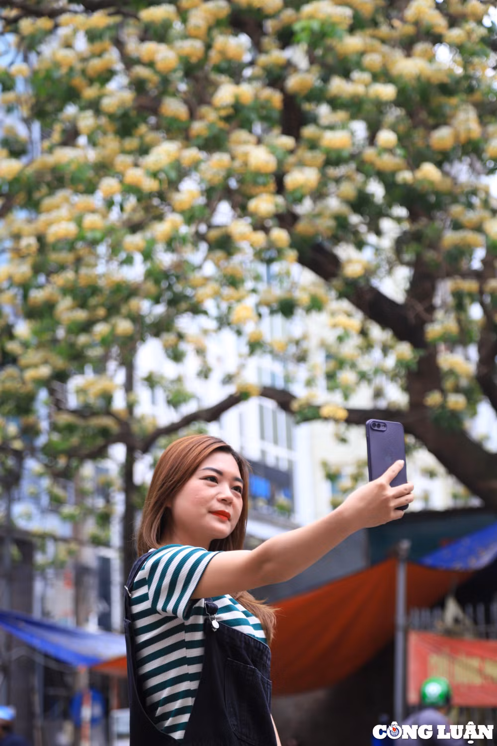 ruc ro sac hoa cay bun hon 300 tuoi o ha noi hinh 8