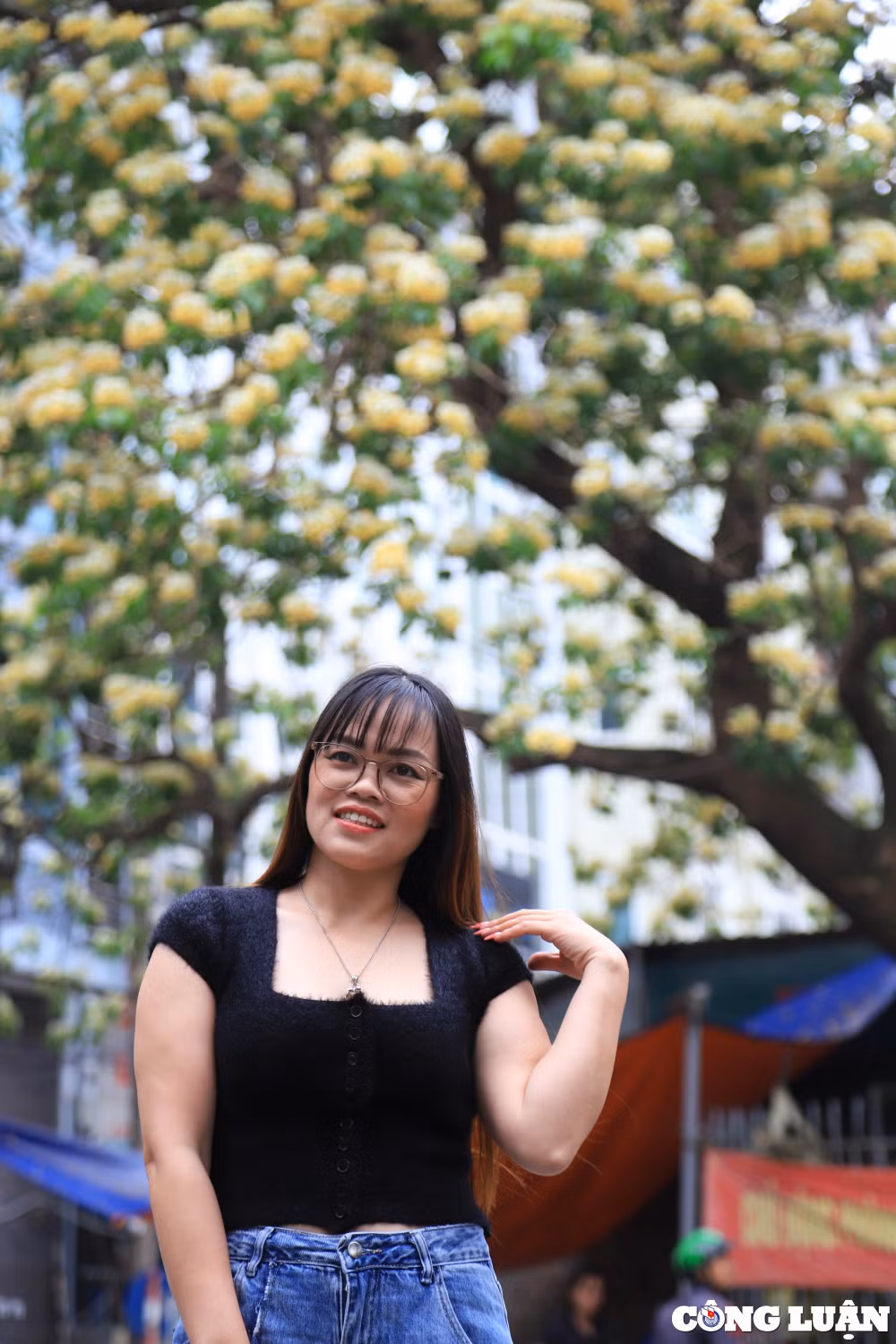 ruc ro sac hoa cay bun hon 300 tuoi o ha noi hinh 9