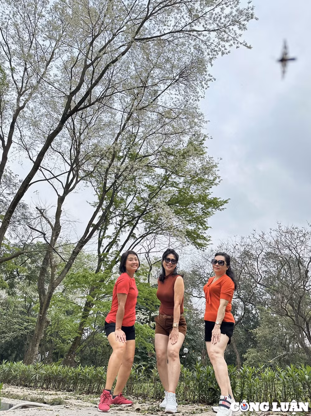 ha noi dep long lay nho sac trang tinh khoi cua hoa sua hinh 6