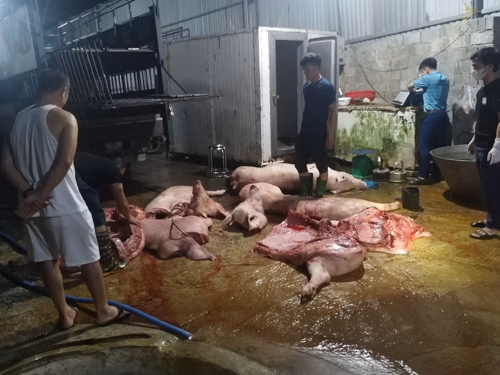 phat hien 11 tan thit nhiem dich ta lon chau phi tai thai nguyen chu hang chi bi phat 7 trieu dong hinh 1