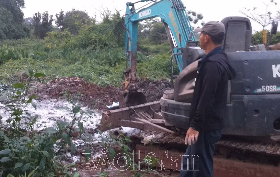 ha nam phat hien o dich ta lon chau phi tai xa yen nam hinh 1