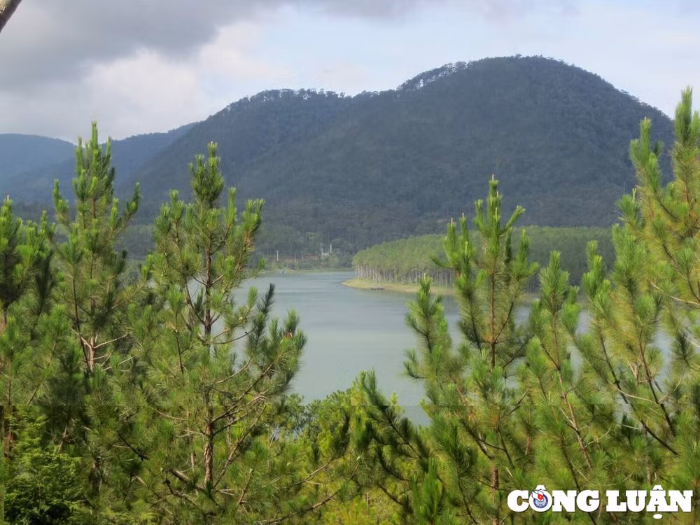 thung lung vang tien canh huyen bi noi xu so ngan hoa hinh 2
