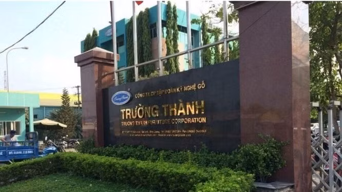 go truong thanh ttf tu lai hoa lo 144 ty sau kiem toan von chu nghin ty bi thoi bay hinh 1