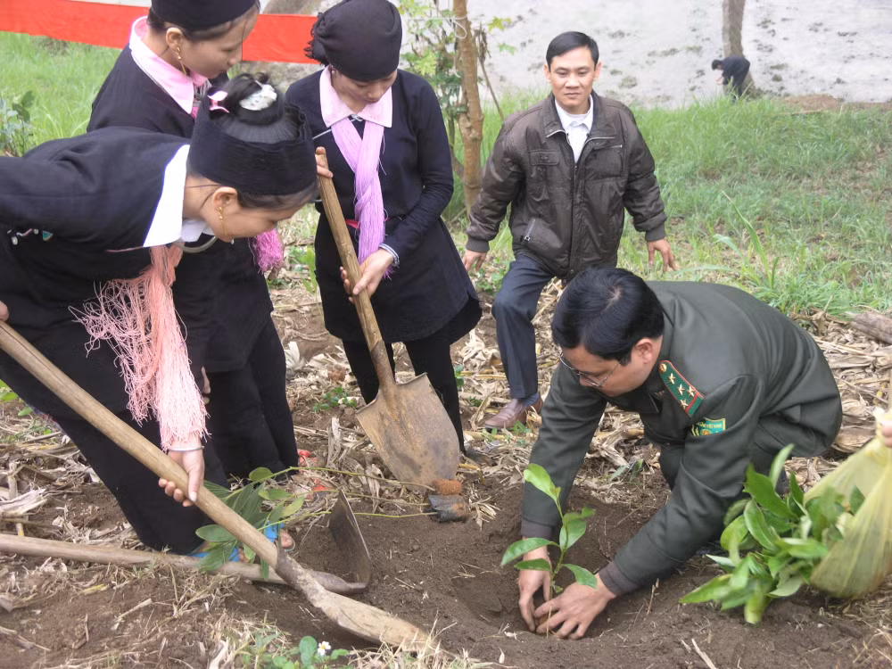 lao cai dung dau ca nuoc thuc hien de an trong mot ty cay xanh giai doan 2021 2025 hinh 1