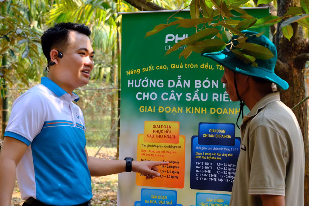 Chuyên gia nông nghiệp Phú Mỹ hướng dẫn người nông dân bón phân đúng, đủ trên cây sầu riêng
