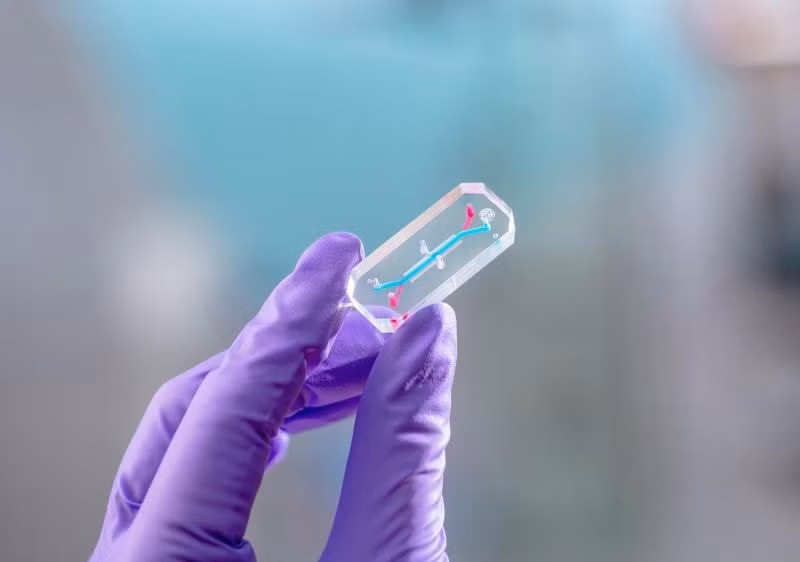 Dự án AVATAR sẽ sử dụng các chip nội tạng để nghiên cứu tác động của việc tăng cường bức xạ và trọng lực vi mô lên sức khỏe con người.