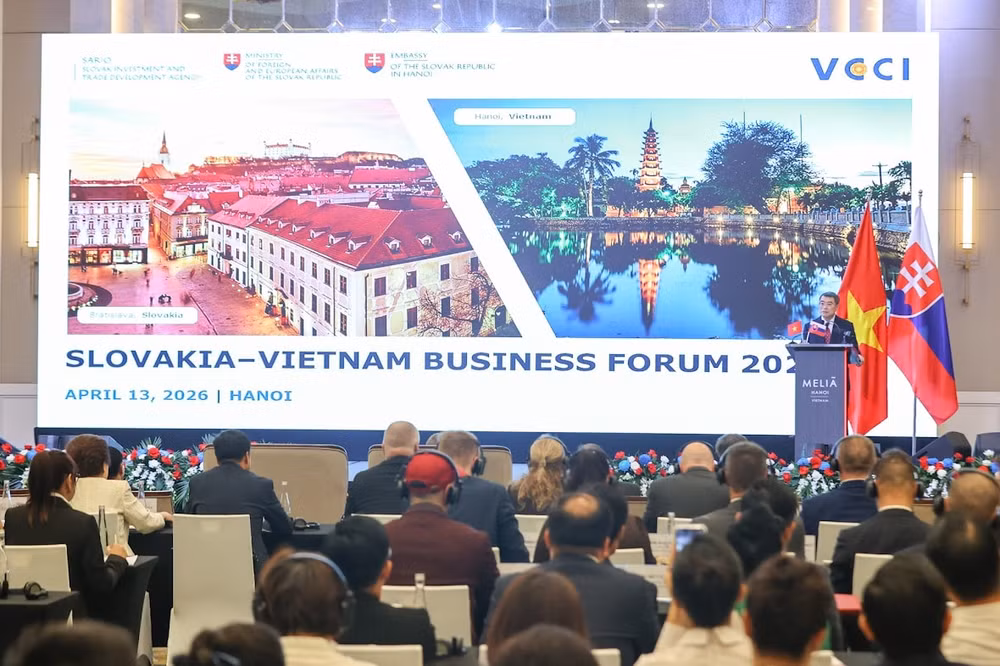 Thủ tướng Lê Minh Hưng và Thủ tướng Robert Fico dự Diễn đàn doanh nghiệp Việt Nam – Slovakia- Ảnh 4.