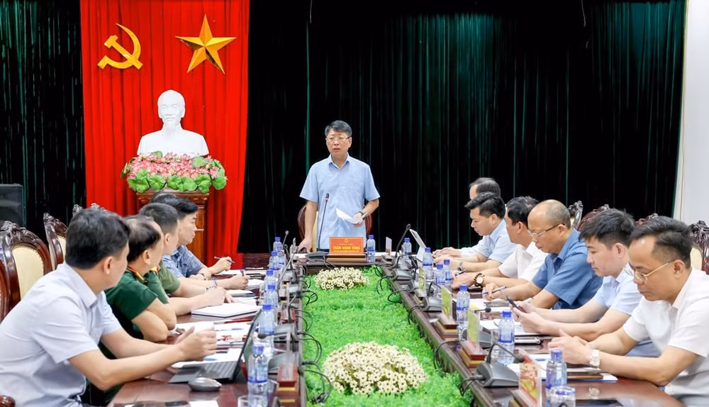 hoa lư