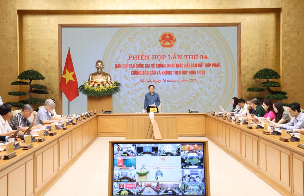 Tăng tốc gỡ 'thẻ vàng' IUU: Hành động quyết liệt, khắc phục triệt để khuyến nghị của EC- Ảnh 1.