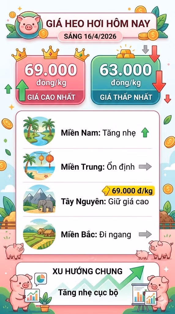 giaheohoi164.jpg